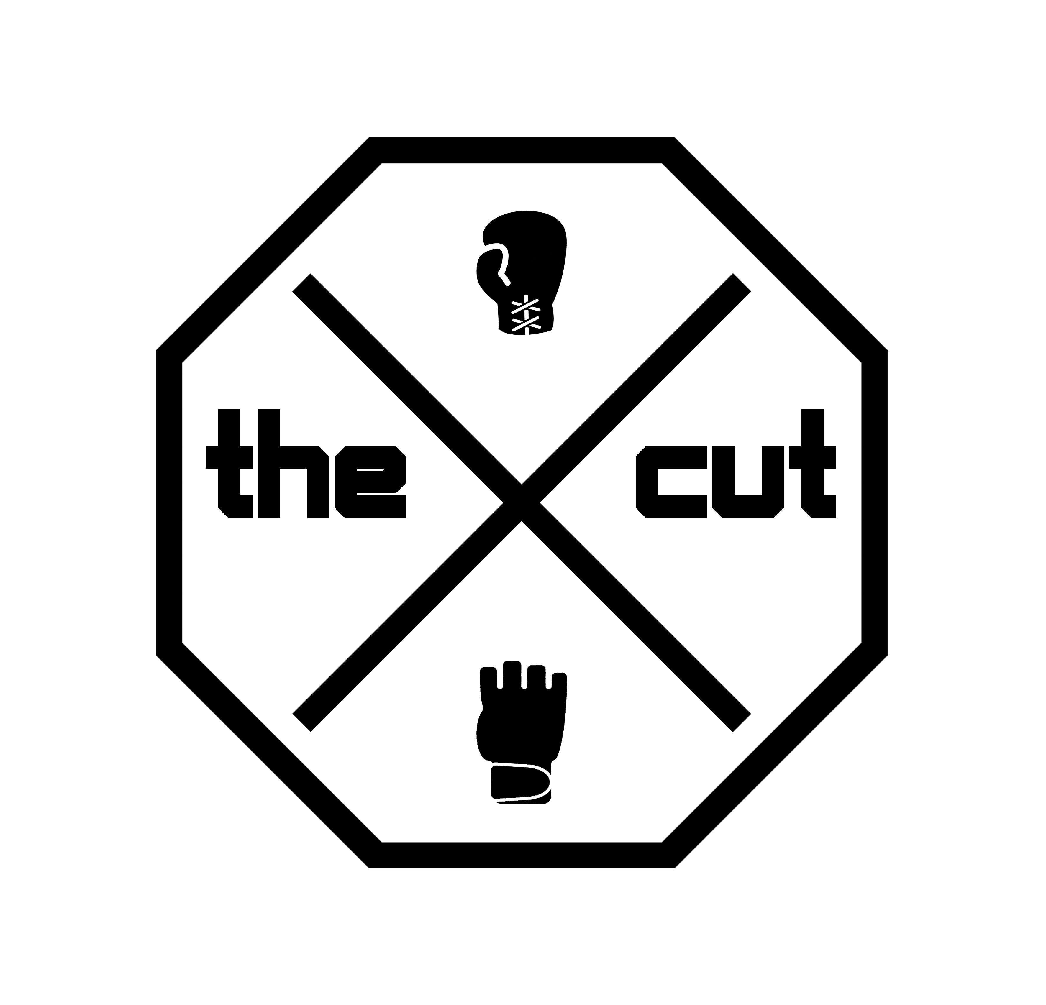 Raphaël Guillot - The Cut Fighting